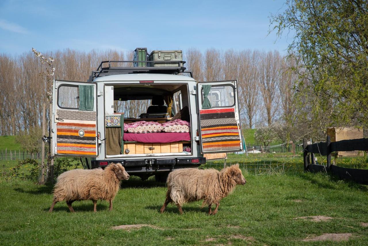 Slapen Tussen De Schapen In De Tante Tipi Hotel Zennewijnen Exterior photo